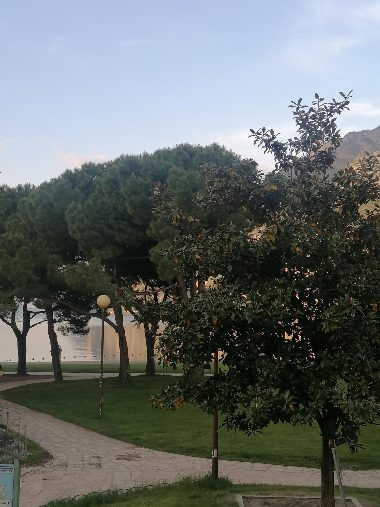 Appartement Lago Blu Riva del Garda Eksteriør billede
